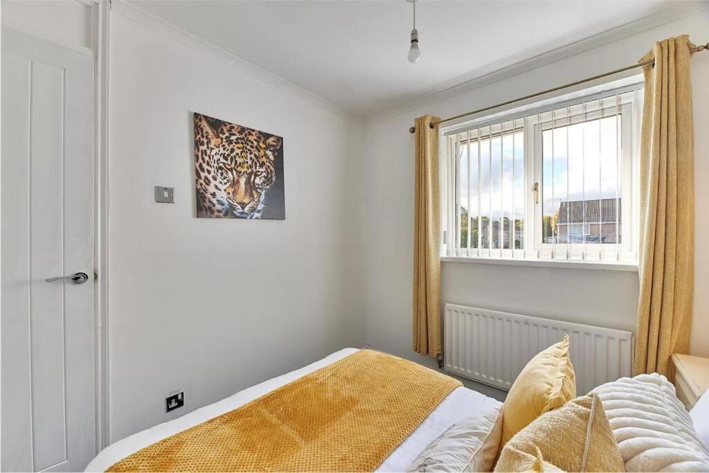 3 Bed With Free Parking In Newcastle Apartman Kültér fotó